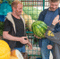 С 1 августа откроются официальные точки продажи арбузов и дынь - Regions.Ru