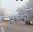 Холода до –30°C продлятся в Реутове несколько дней - Regions.Ru