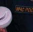 Спасатели Реутова напомнили о правилах пожарной безопасности - ТВ-Реутов